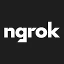 ngrok的Logo
